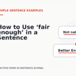 How to Use ‘fair enough’ in a Sentence
